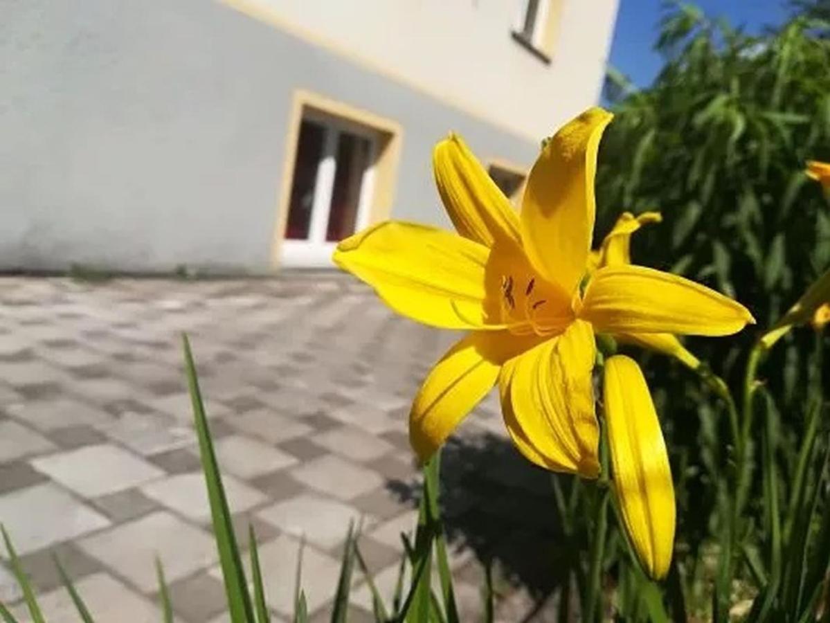 Apartament Haus Am Apfelbaum Bad Säckingen Zewnętrze zdjęcie